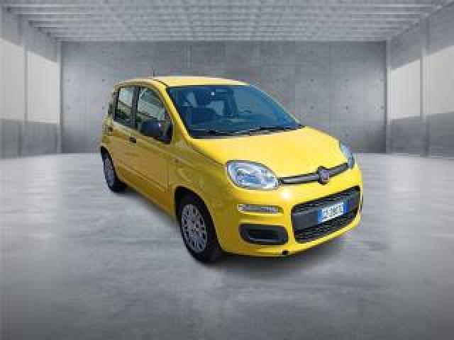 Fiat Panda 3ª Serie  1.0 Firefly S&s Hybrid Pop 