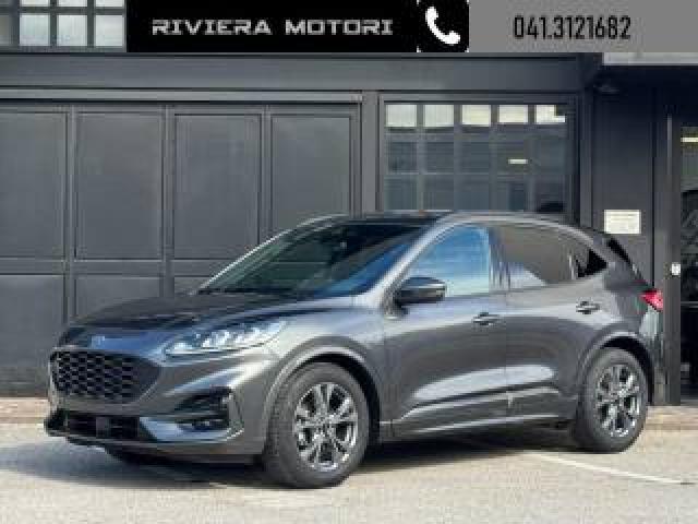Ford Kuga 2.0 Ecoblue 120 Cv Aut. St-Line 2wd 