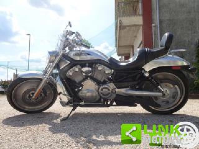 Harley Davidson V-Rod Vrscb 