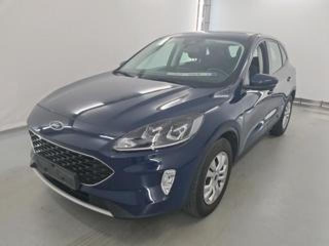 Ford Kuga 1.5 Ecoblue 120 Cv 2wd Connect 