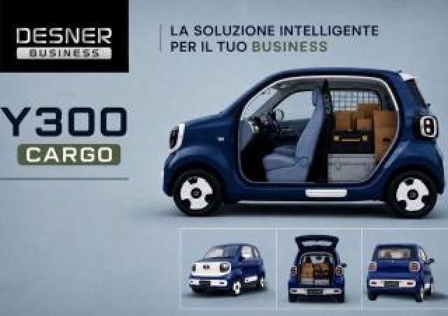 Desner Y300 Cargo 2 Posti 