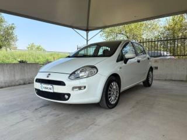 Fiat Punto 1.2 8v 5 Porte Euro 6 Ok Neopatentati  