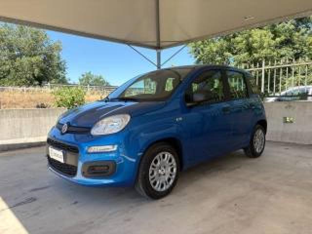 Fiat Pandina 1.0 Firefly 70 Cv Hybrid Icon Come Nuova  