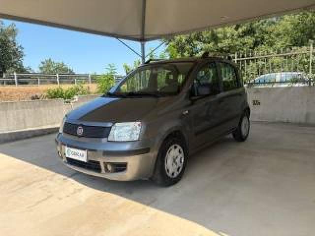 Fiat Panda 1.2 Classic Unico Proprietario Pronta Consegna  