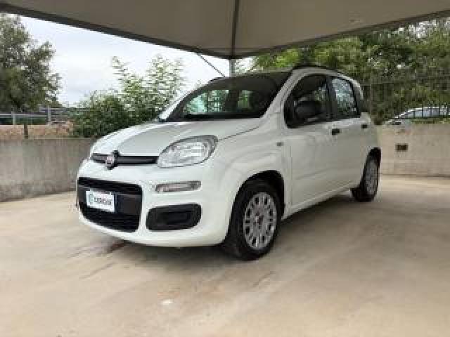 Fiat Panda 1.2 Easy Euro 6 5 Posti Ok Neopatentati 