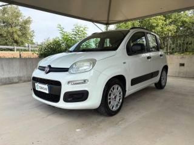 Fiat Panda 1.2 Easy Euro 5 Benz Ok Neopatentati Pronta Cons. 