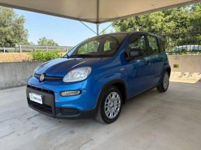 Fiat Pandina 1.0 Firefly 70 Cv Hybrid Icon Come Nuova Ok Neop  