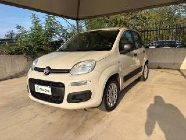 Fiat Panda 1.2 Easy Benzina Euro 6 Ok Neopatentati 