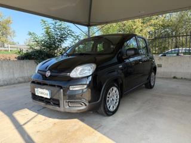 Fiat Panda 1.0 Firefly S&s Hybrid Come Nuova Pronta Consegna  
