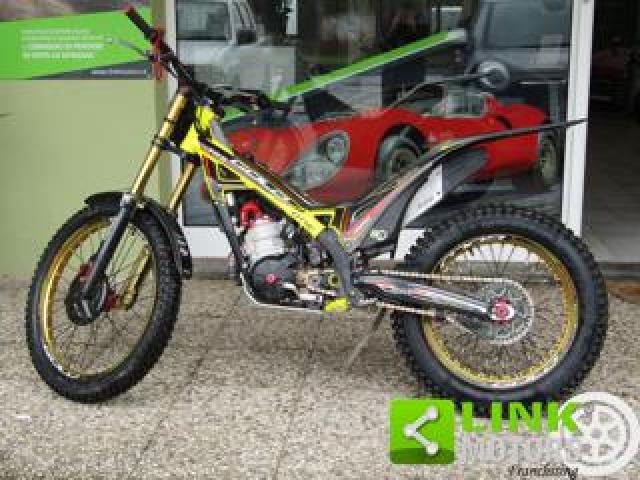 Trs One 300 Gold 2019 