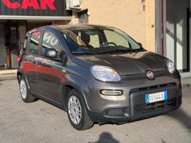 Fiat Panda 1.0 Firefly S&s Hybrid 5 Posti 