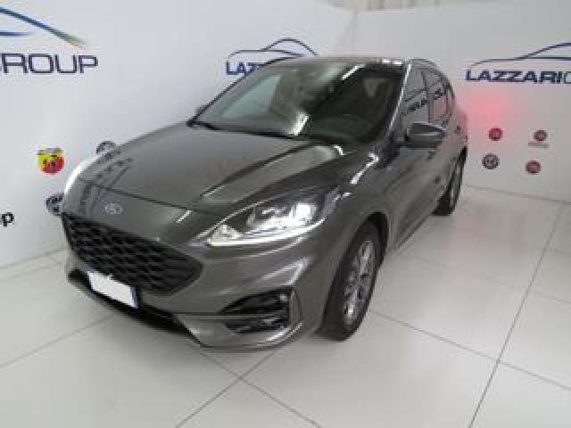 Ford Kuga 1.5 Ecoblue 120 Cv 2wd St-Line 