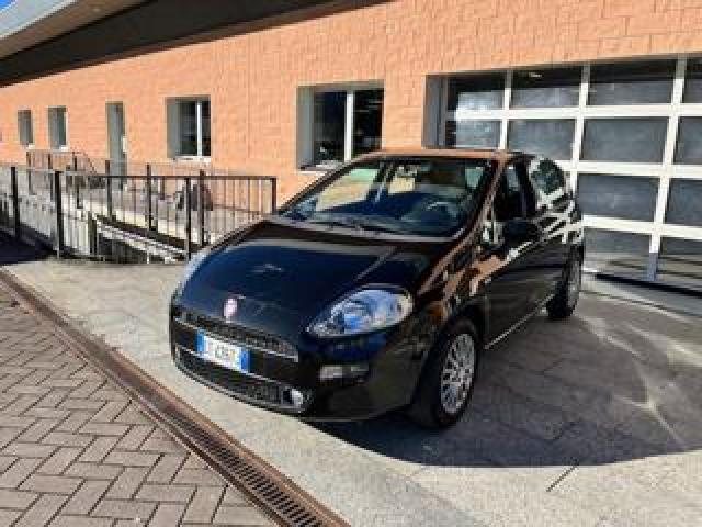 Fiat Punto 1.2 8v 5 Porte Lounge 