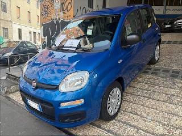 Fiat Pandina 1.0 Firefly 65 Cv Hybrid Pop 