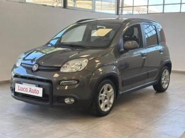 Fiat Panda 1.0 Firefly S&s Hybrid *unico Prop.*5 Posti* 