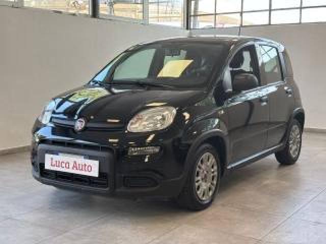 Fiat Panda 1.0 Firefly S&s Hybrid *unico Proprietario* 