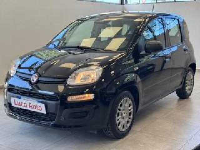 Fiat Panda 1.0 Firefly S&s Hybrid *unico Prop*digital Cockpit 