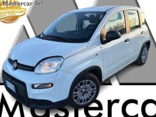 Fiat Panda Neopatentati Panda 1.0 Firefly Hybrid  Tg: Gp773ba 