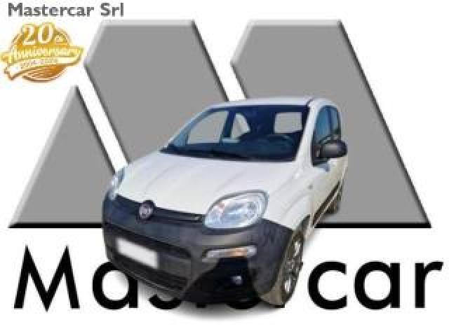 Fiat Panda Panda 1.3 Mjt  Van 16v 4x4 - Fg184gf 