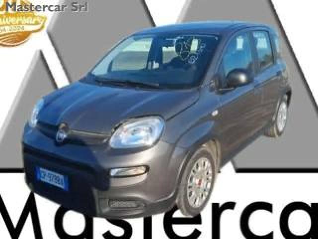 Fiat Panda Neopatentati Panda 1.0 Firefly Hybrid  Tg: Gp978ba 