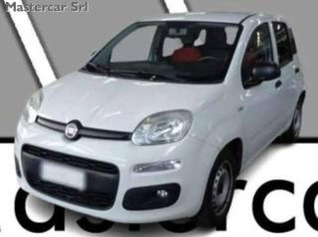 Fiat Panda Panda 1.2 69 Cv Van 2 Posti Euro6 Pop -  Fx994dx 
