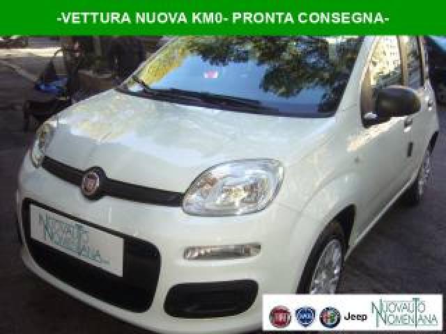Fiat Panda 1.0 Firefly S&s Hybrid 5°posto Pack City  