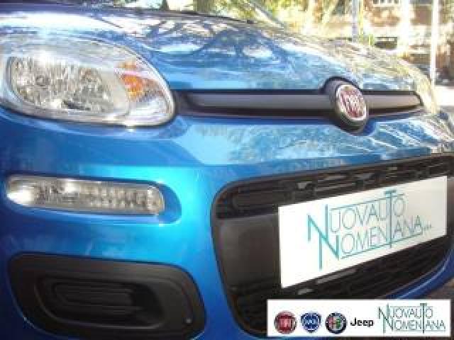 Fiat Panda 1.0 Firefly S&s Icon Hybrid 5°posto Vettura Nuova 