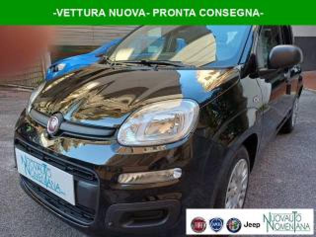 Fiat Panda 1.0 Firefly S&s Hybrid Icon 5°posto Auto Nuova 