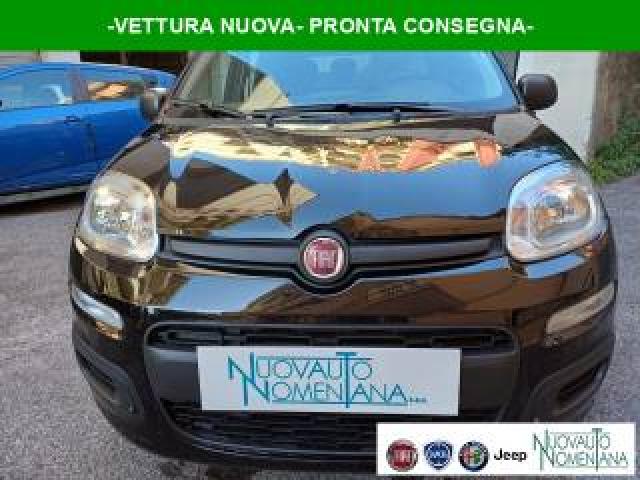 Fiat Panda 1.0 Firefly S&s Hybrid Icon 5°posto Auto Nuova 