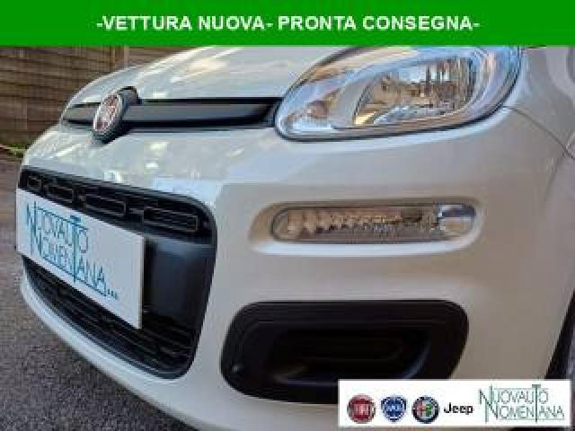 Fiat Panda 1.0 Firefly S&s Hybrid Icon 5°posto Auto Nuova 