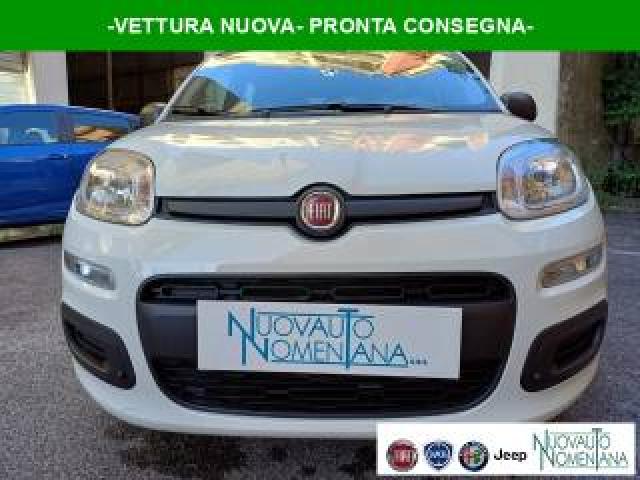Fiat Panda 1.0 Firefly S&s Hybrid Icon 5°posto Auto Nuova 