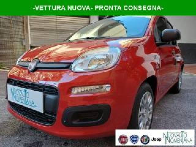 Fiat Panda 1.0 Firefly S&s Hybrid Icon 5°posto Auto Nuova 