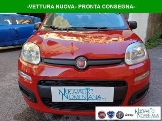 Fiat Panda 1.0 Firefly S&s Hybrid Icon 5°posto Auto Nuova 