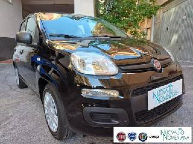 Fiat Panda 1.0 Firefly S&s Hybrid Icon 5°posto Auto Nuova 