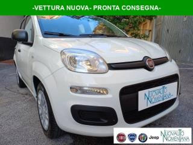 Fiat Panda 1.0 Firefly S&s Hybrid Icon 5°posto Auto Nuova 