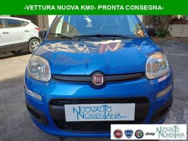 Fiat Panda 1.0 Firefly S&s Hybrid Icon 5°posto Auto Nuova Km0 