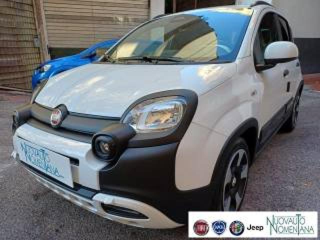 Fiat Panda Pandina Cross 1.0 Firefly Hybrid 5°p  Auto Nuova  