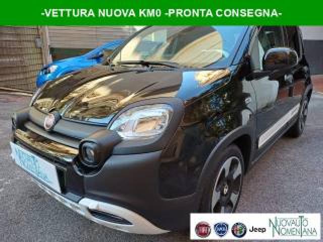 Fiat Panda Pandina Cross 1.0 Firefly Hybrid 5°p  Auto Nuova  