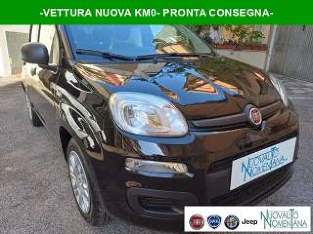 Fiat Panda Pandina 1.0 Firefly S&s Hybrid Icon 5°p.  Km0 