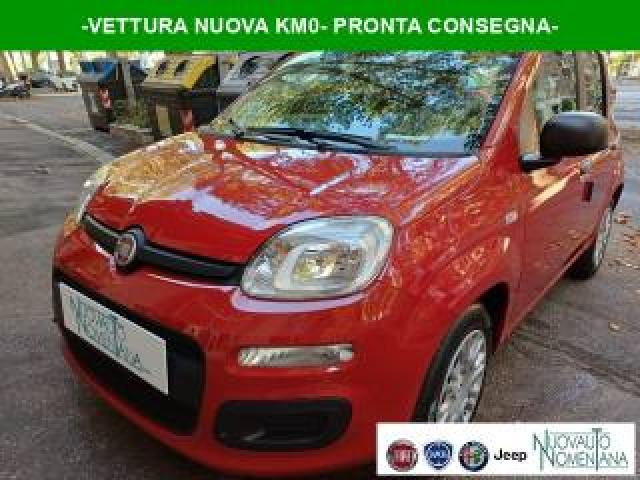 Fiat Panda Pandina 1.0 Firefly S&s Hybrid Icon Vettura Nuova 