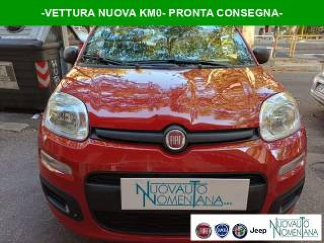 Fiat Panda Pandina 1.0 Firefly S&s Hybrid Icon Vettura Nuova 