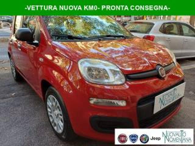 Fiat Panda Pandina 1.0 Firefly S&s Hybrid Icon Vettura Nuova 