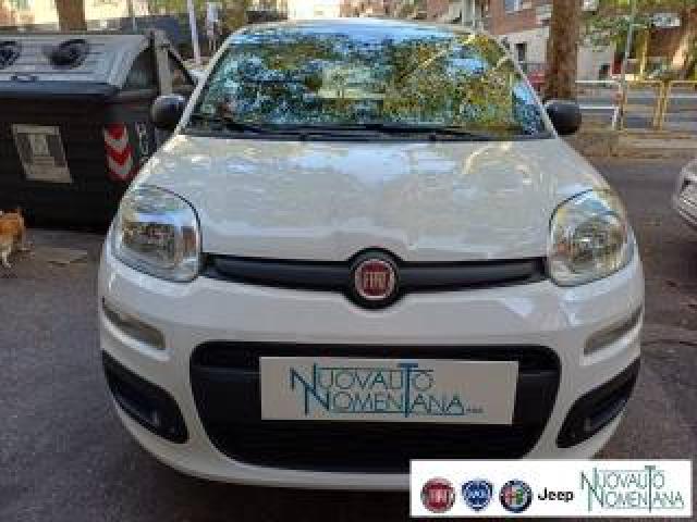Fiat Panda Pandina 1.0 Firefly S&s Hybrid Icon Vettura Nuova 