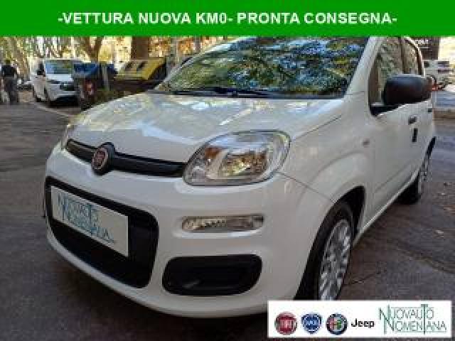 Fiat Panda Pandina 1.0 Firefly S&s Hybrid Icon Vettura Nuova 