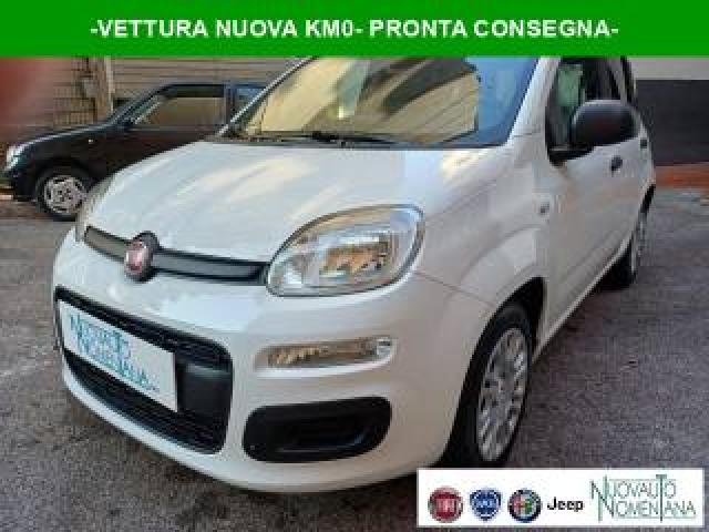 Fiat Panda Pandina 1.0 Firefly S&s Hybrid Pop Vettura Nuova 