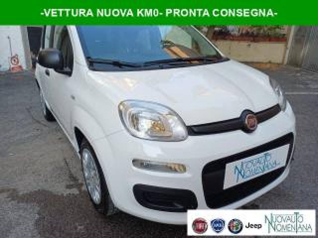 Fiat Panda Pandina 1.0 Firefly S&s Hybrid Pop Vettura Nuova 
