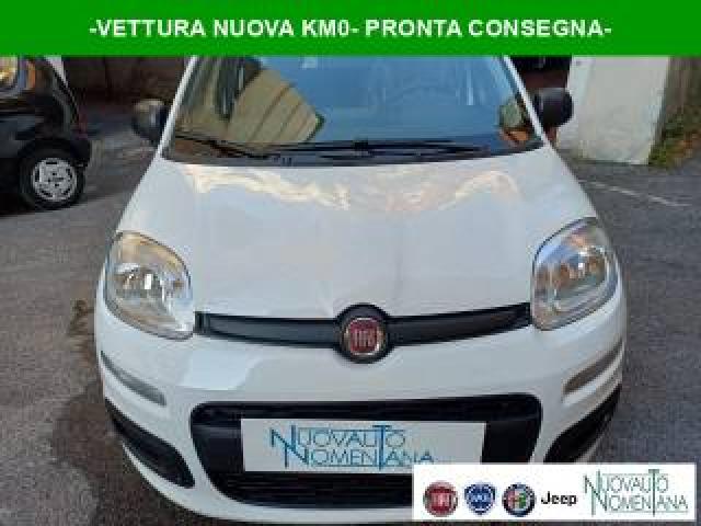 Fiat Panda Pandina 1.0 Firefly S&s Hybrid Pop Vettura Nuova 