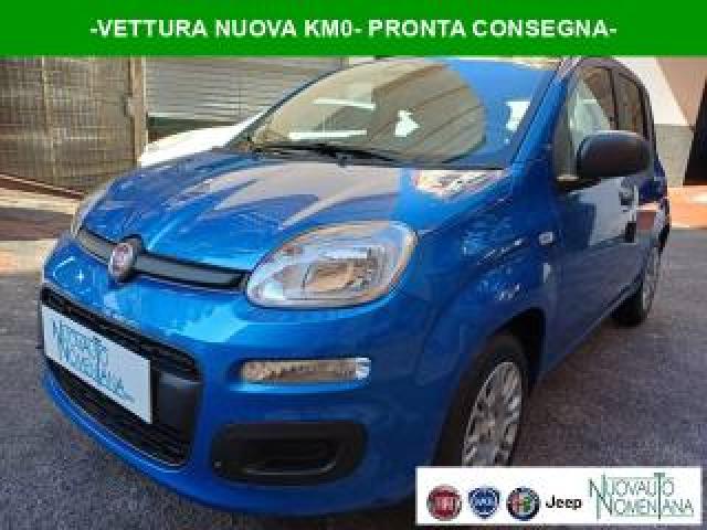 Fiat Panda Pandina 1.0 Firefly S&s Hybrid Icon 5°posto 