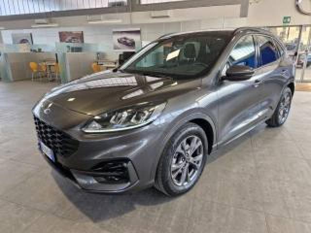 Ford Kuga 1.5 Ecoboost 150 Cv 2wd St-Line 