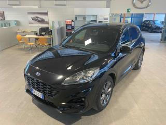 Ford Kuga 1.5 Ecoblue 120 Cv 2wd Aut. St-Line X 